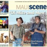 Maui Scene